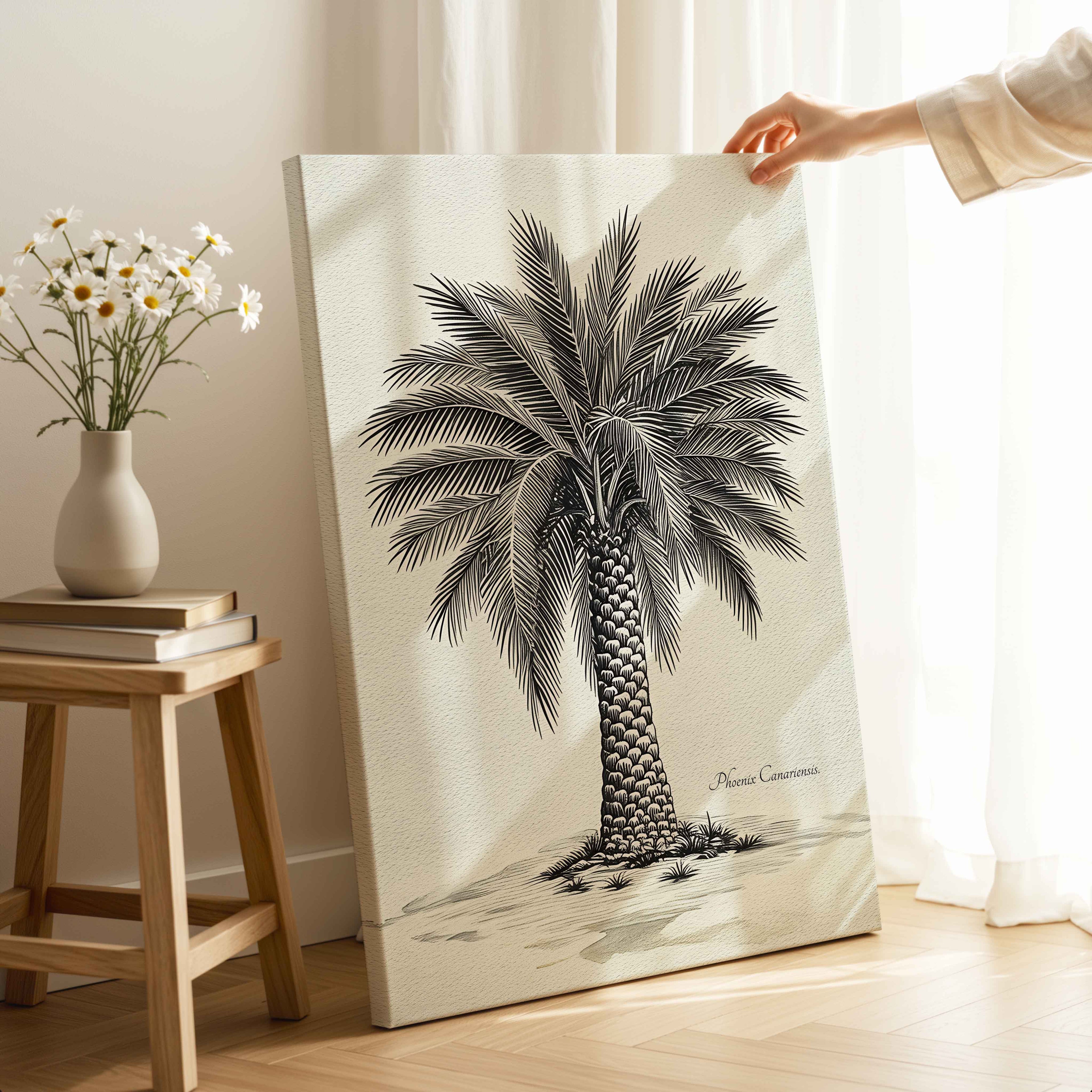 Palmera Canaria