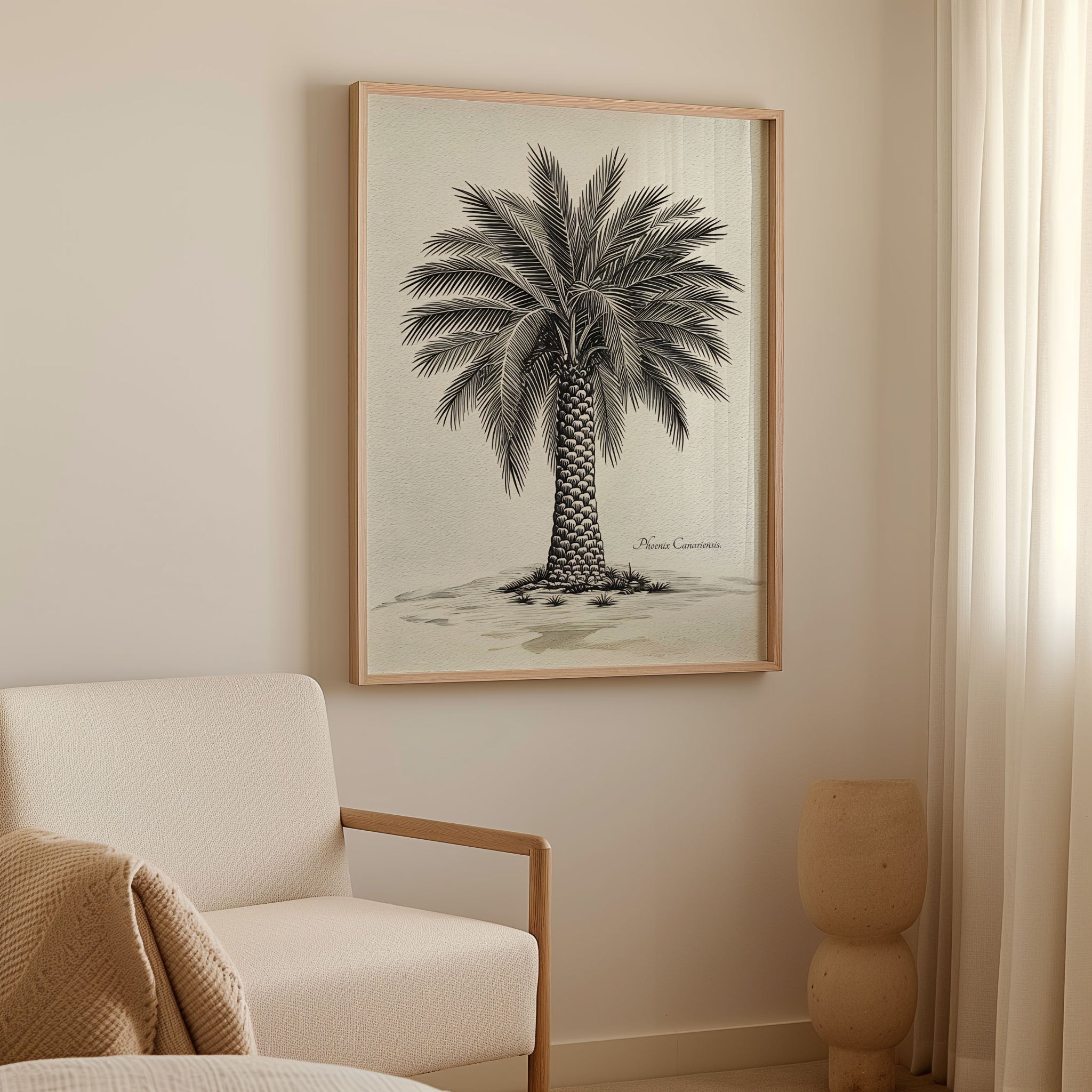 Palmera Canaria