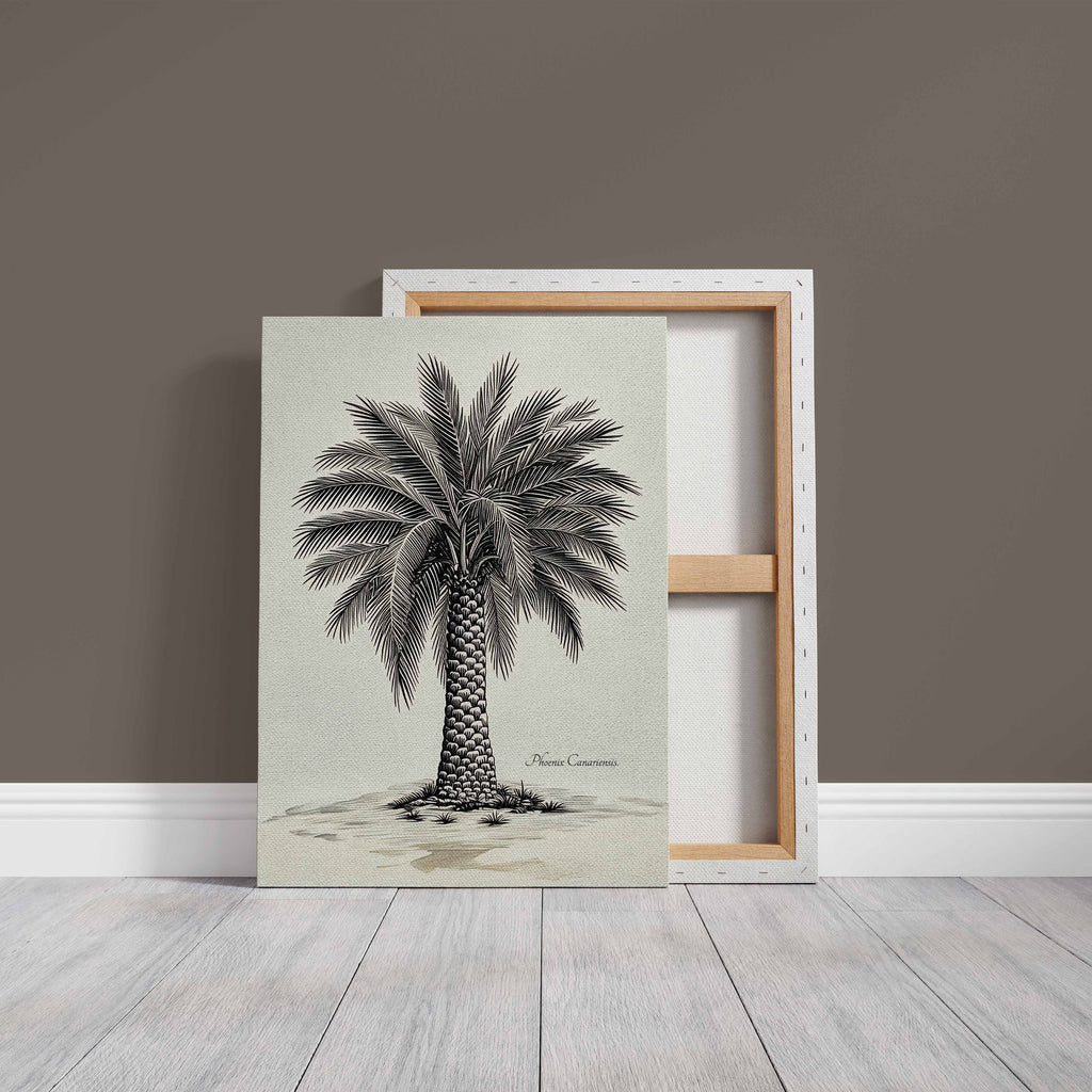 Palmera Canaria
