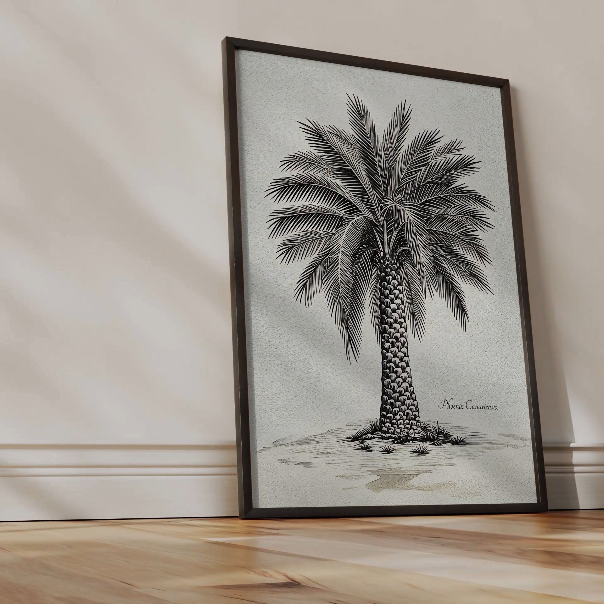 Palmera Canaria